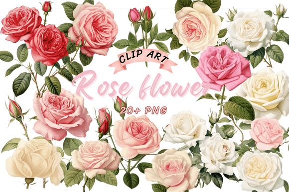 Watercolor Rose Clipart: A Designer's Guide to Wedding PNGs